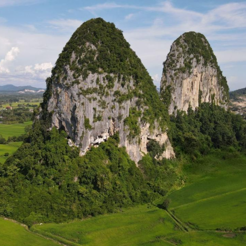perlis