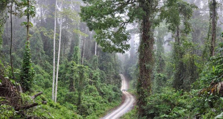 borneo-lost-world-maliau-basin