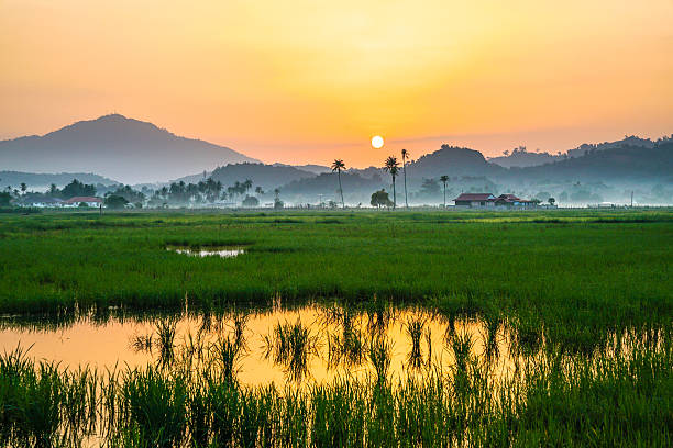 Scenery of the countryside in Malaysia