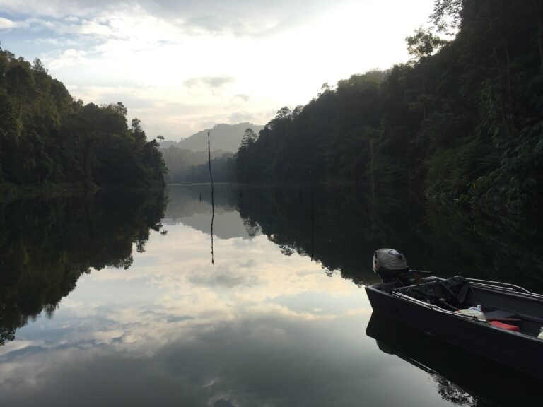 photo8jpg